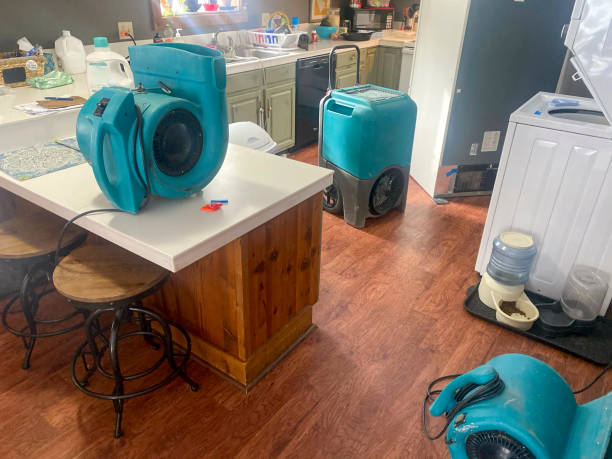 Best Commercial water damage restoration  in Shamokin, PA