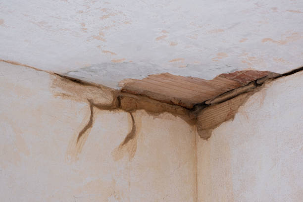 Best Flooded house restoration  in Shamokin, PA