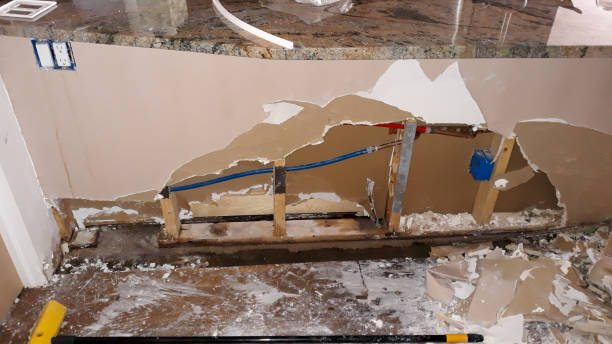 Best Water damage restoration near me  in Shamokin, PA