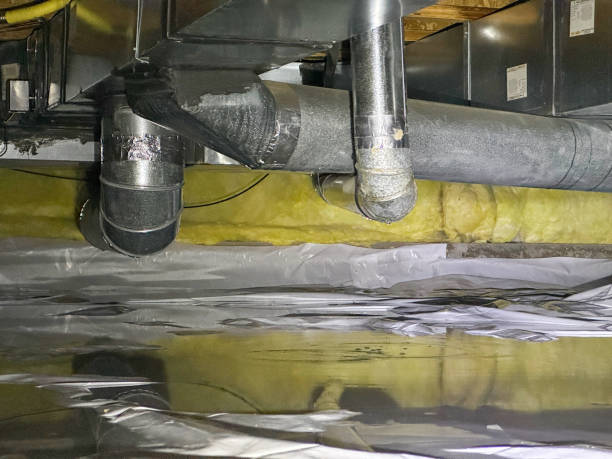 Best Local water damage restoration  in Shamokin, PA