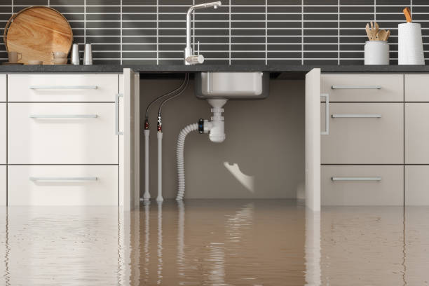  Shamokin, PA Water damage restoration Pros