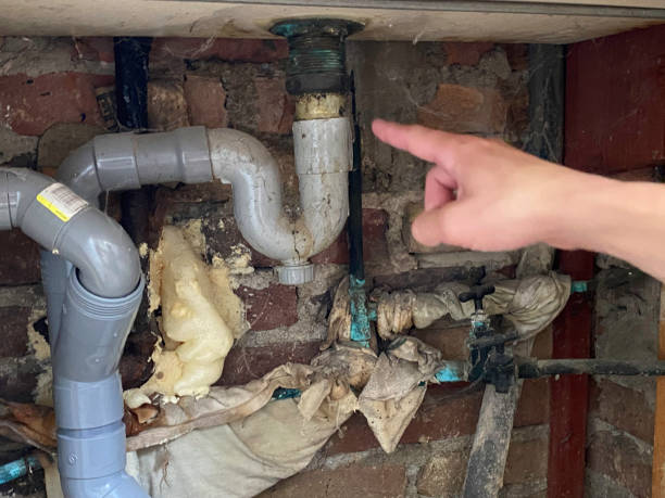 Best Water damage contractors near me  in Shamokin, PA