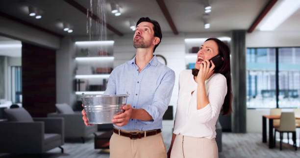 Best Flooded house restoration  in Shamokin, PA
