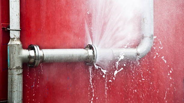 Best Water damage restoration near me  in Shamokin, PA