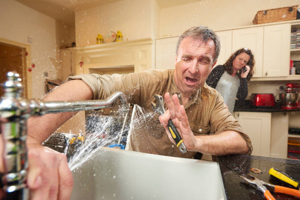 Best Ceiling water damage repair  in Shamokin, PA